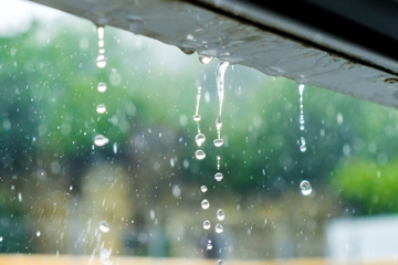 Regenwasser