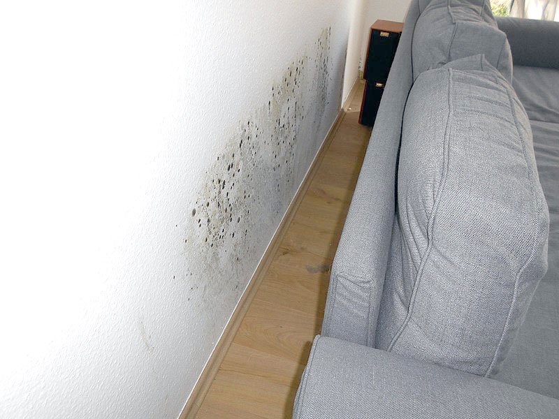 schimmel sofa