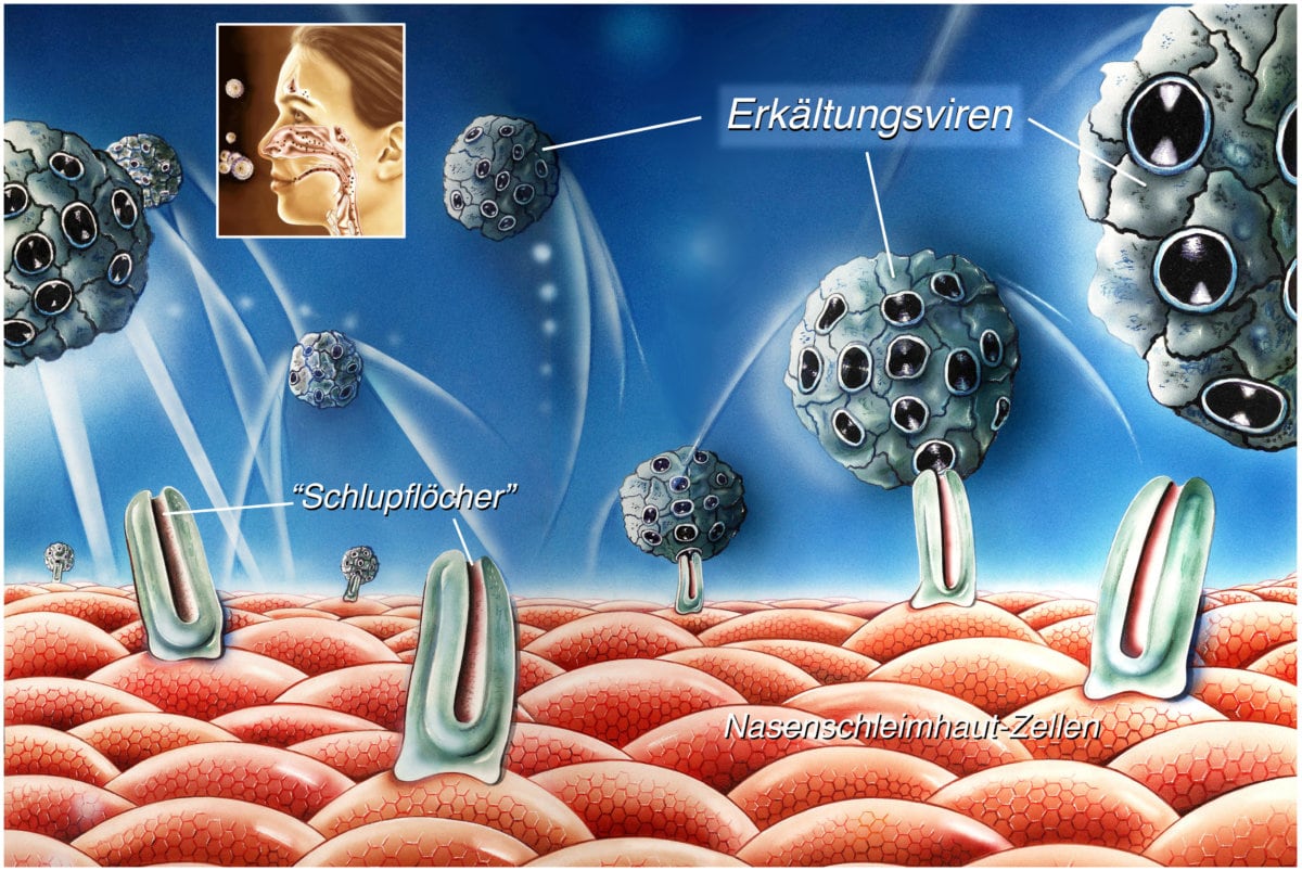 Schwächung des Immunsystems