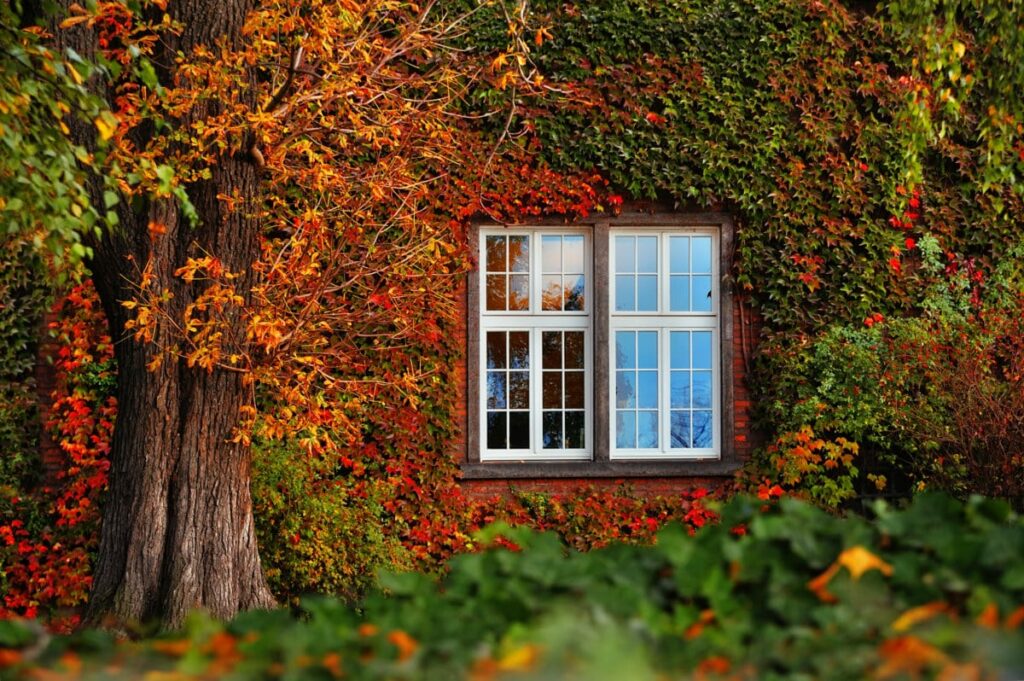 Haus mit Herbstlaub