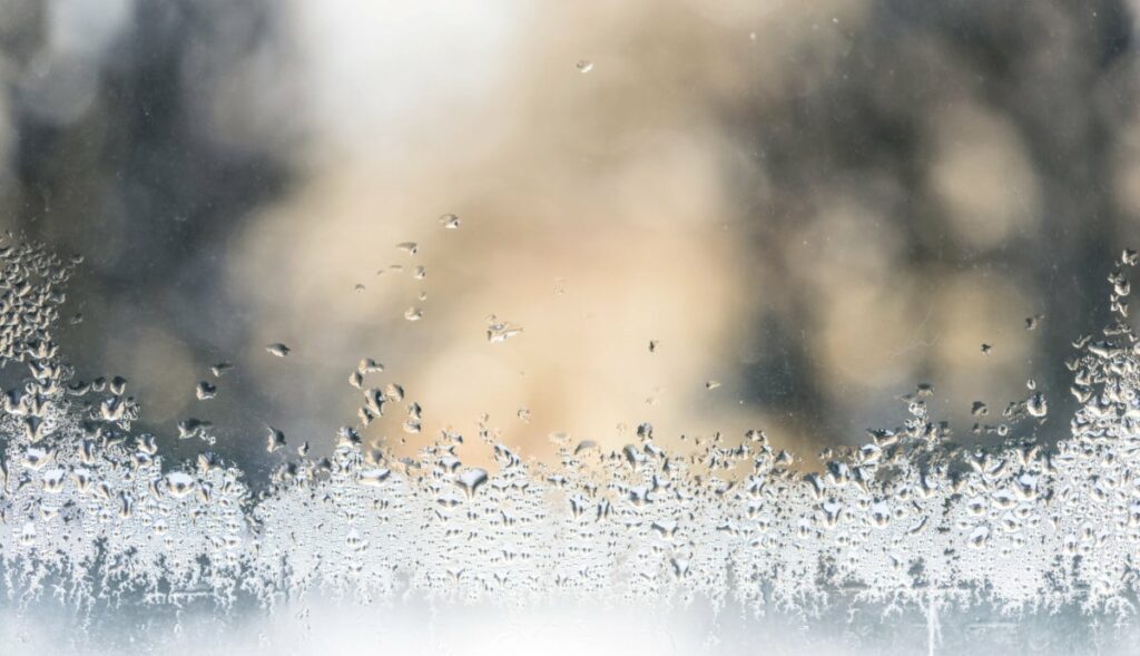 Luftfeuchtigkeit Winter Trockene Luft Feuchte Luft Kondenswasser Luftbefeuchter Luftentfeuchter Winter Feuchte Zimmer