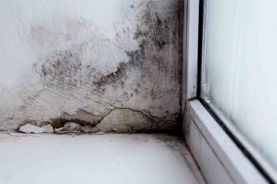 Feuchte Wandecke