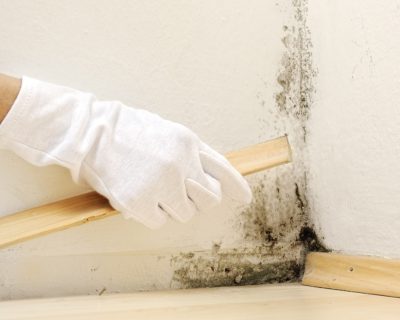 Schimmelbildung entlang den Fussbodenleisten